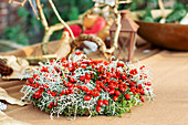 Wreath of rose hips