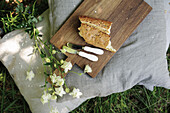 Holzbrett mit Brot und Messer auf Sitzkissen beim Picknick