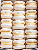 Vanilla Macarons