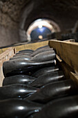Champagne bottles in the cellar