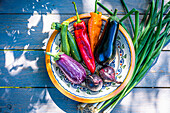 Colorful summer vegetables on a ceramic plate next to a bunch of spring onions