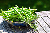 Bowl with green garden beans and rosemary sprig on a wooden table
