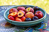 Stone fruit in ceramic bowl on a mosaic table in garden