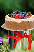 Cake with icing and fresh berries