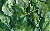 Spinach (full picture)