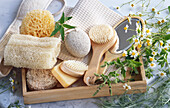 Still life with wellness accessories: bath sponge, loofah, brushes, mirror, soaps, pumice stone