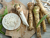 Horseradish root and grated horseradish