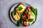 Lunch plate with toasts in eggs with cheese, fresh tomato and cucumber slice decorated with basil leaves