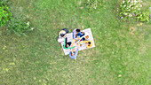 Fröhliche junge Freunde, die sich mit Getränken auf Picknickdecke im Garten zuprosten