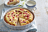 Hefe-Quark-Kuchen mit Erdbeeren und Rhabarber