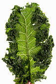 Fresh kale