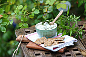 Nettle cheese with crackers