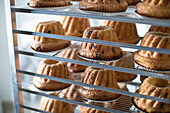 Gugelhupfe on a shelf in a bakery