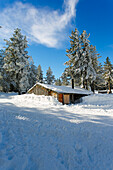 Kleine Hütte im verschneiten Wald, Plateau de Beille, bei Les Cabannes, Département Ariège, Pyrenäen, Okzitanien, Frankreich