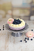 Blueberry No-Bake Cake
