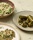 Stuffed vine leaves with pine nuts and currants
