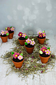 Flowery raspberry cupcakes