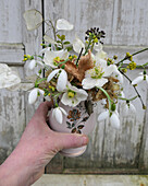 Blumenstrauß aus Kornelkirsche (Cornus Mass), einjährigem Silberblatt (Lunaria annua), Schneeglöckchen (Galanthus)