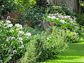 Garten mit Kugeldisteln (Echinops) und Holzstuhl (England)