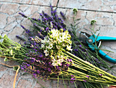 Lavendel und Lauchblüten (Allium) für Dekoration