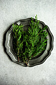 Green thuja branches on vintage metal plate