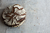 Tourte Auvergnate (French sourdough rye bread)