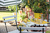 A summery seating area under a parasol and a lemon tree