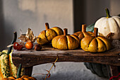 Fresh homemade Pumpkin Buns on a rustic table