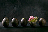 Black Easter concept Bio colored black eggs with golden spots with moss and small pink flowers in row on dark wooden background