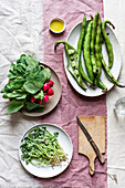 Grüne Bohnen, Sprossen, Spinatblätter und Radieschen auf Tellern