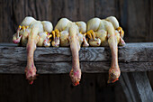 Drei gerupfte Hühner auf Holztisch