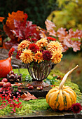 Bouquet of chrysanthemums and pumpkin on garden table in the rain (Chrysanthemum)