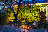 View from autumn terrace to illuminated house facade overgrown with ivy
