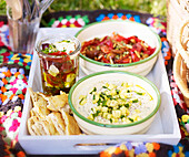 Marinated feta, pepper salad, beans, and Zucchini dip with pita chips for picnics