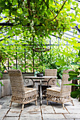 Cozy seating area with rattan chairs under vine pergola in the greenhouse