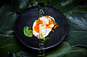 Cod fillet with seaweed and flyfish roe