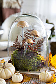 Autumn decoration with moss under a bell jar