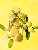 Lemon macarons against a yellow background