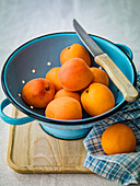 Apricots in a blue colander