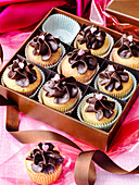 Mini chocolate cupcakes in a gift box for Valentine's Day