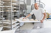 Bäcker stellt Platte mit ungebackenen Teiglingen in Regal