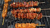 Turkey and tofu skewers on the grill