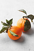 Zwei Orangen mit Blättern