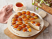 Quick apricot cheesecake