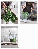 Korianderpesto mit Sonnenblumenkernen und saurer Sahne zubereiten