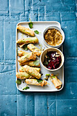Bean puree caper chicory spring rolls with walnut dip