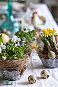 Easter decoration with pansies, quail eggs, and daffodils