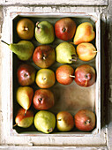 Various pears in a box