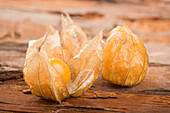 Physalis fruit