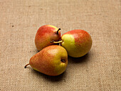 Blush Pears on burlap